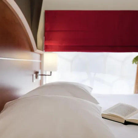 Ibis Styles Centre 3* كولمار