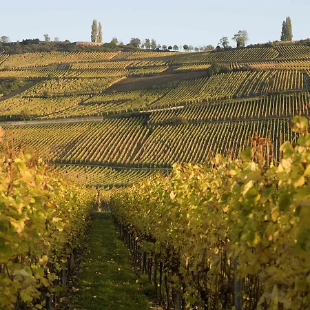 Ibis Styles Centre Hotell Colmar