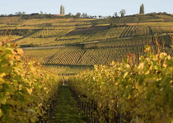 Ibis Styles Centre Hotel Colmar